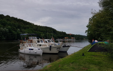 CP 8 ARDEA 17.8.2019