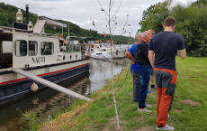 CP 8 ARDEA 17.8.2019