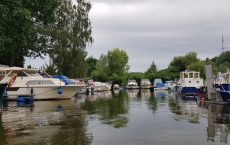 CP 8 ARDEA 17.8.2019