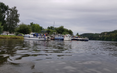 CP 8 ARDEA 17.8.2019