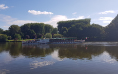 CP 8 ARDEA 17.8.2019