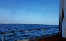 20180517_090918_001