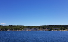 20180605_155143_001