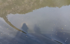 20190722_103707