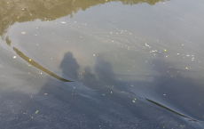 20190722_103716
