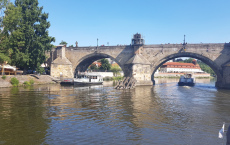 20190723_101751
