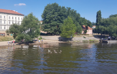 20190723_101917