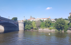 20190723_102011