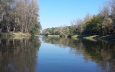 Plavba na Mělník a zpět - 4 lodě