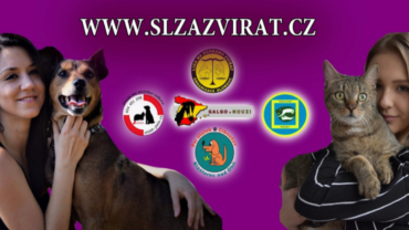 Summer šou v Nelahozevsi